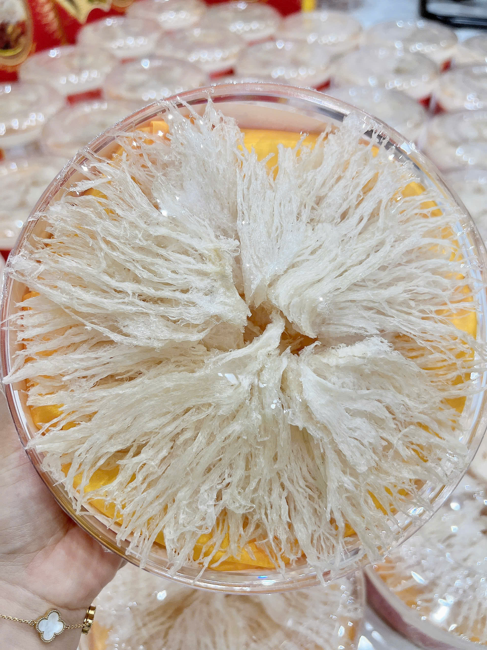 Chân yến làm sạch